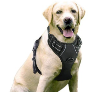 DOG HARNESS