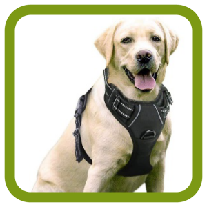 DOG HARNESS