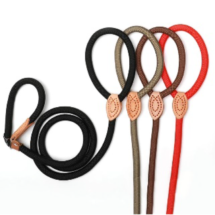 SLIP LOOP DOG LEASH - Image 2